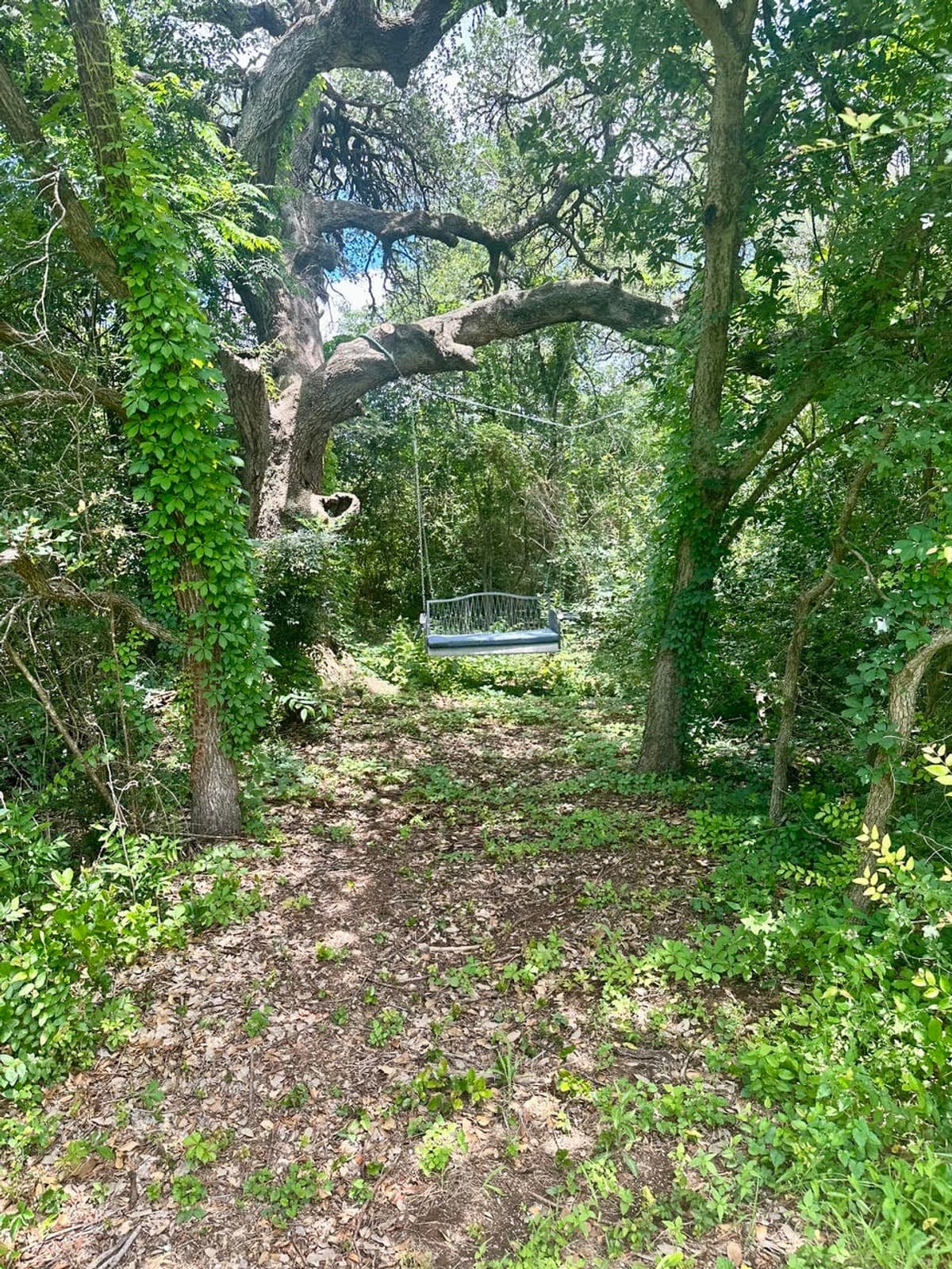 6201 Oakclaire Dr - Thumbnail 41